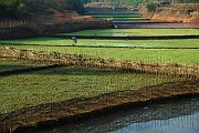 PAPARELLA GIORGIO-TEMA B- AGRICOLTURA SOSTENIBILE